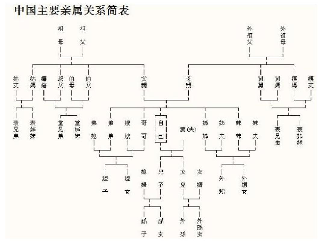 胡同暗号解密指南:如何用30种切口省下80%沟通成本