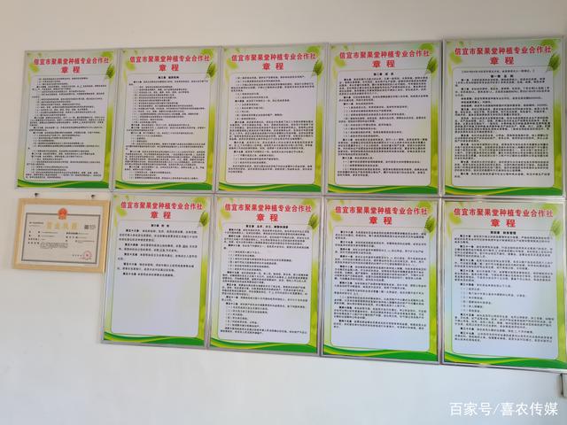 农业合作社章程怎么制定 农业合作社成立需要哪些条件