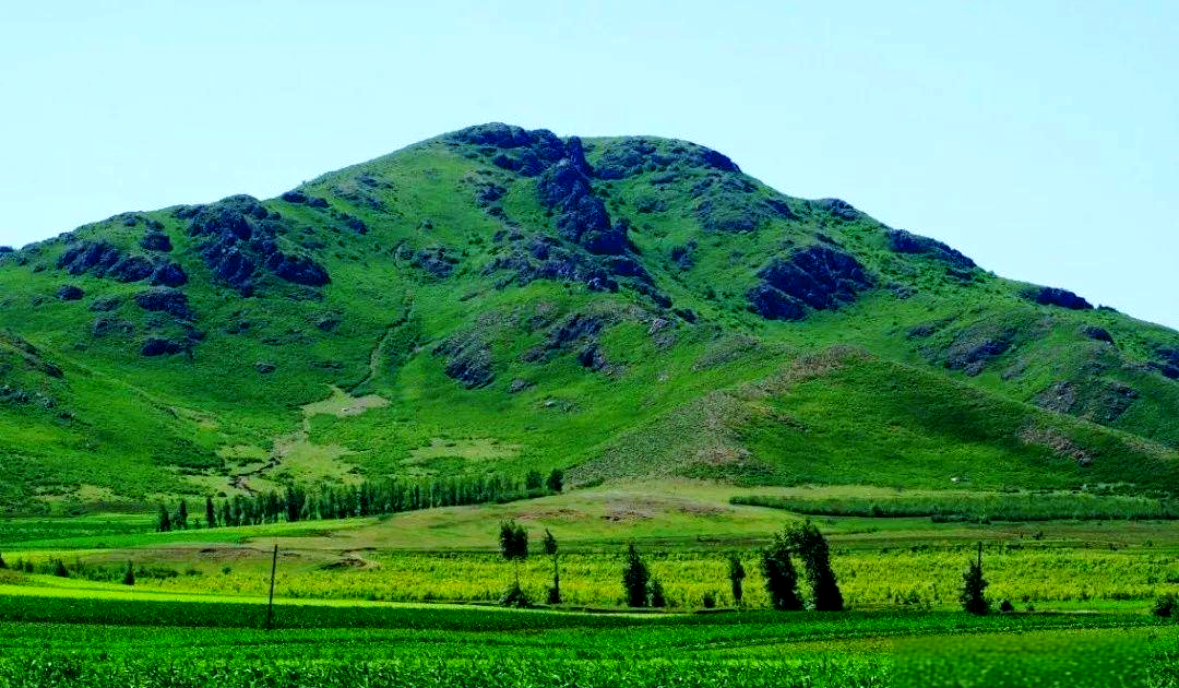 洮南怎么找同城接活的女生微信