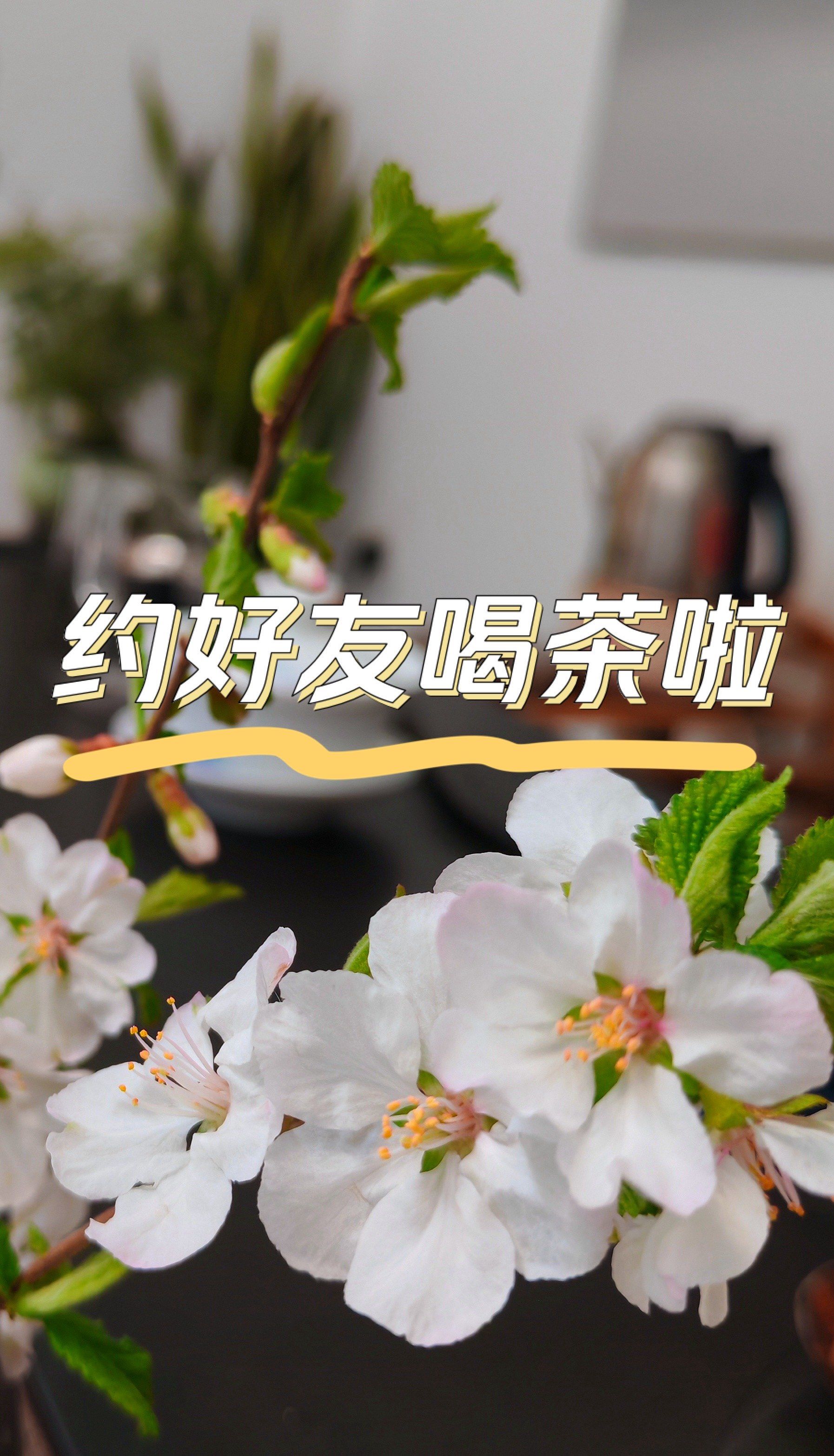 安顺喝茶微信到底该怎么玩?