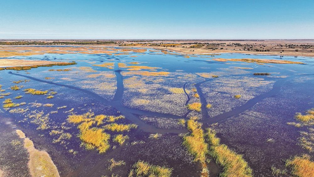 洮南怎么找同城接活的女生微信