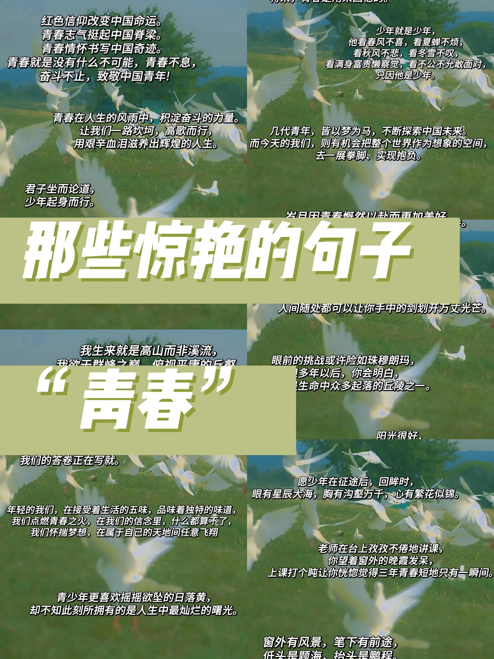 致青春期为“肉”烦恼的你...