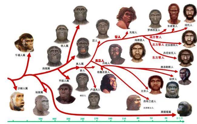 人类起源究竟是真的吗？我们真的是3亿年前的一条鱼吗？