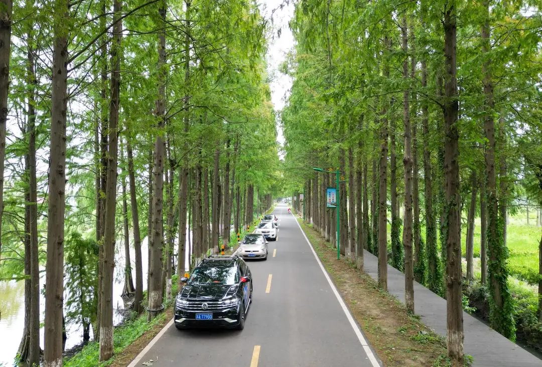 500元同城约茶到店全攻略：新手必看攻略秘籍