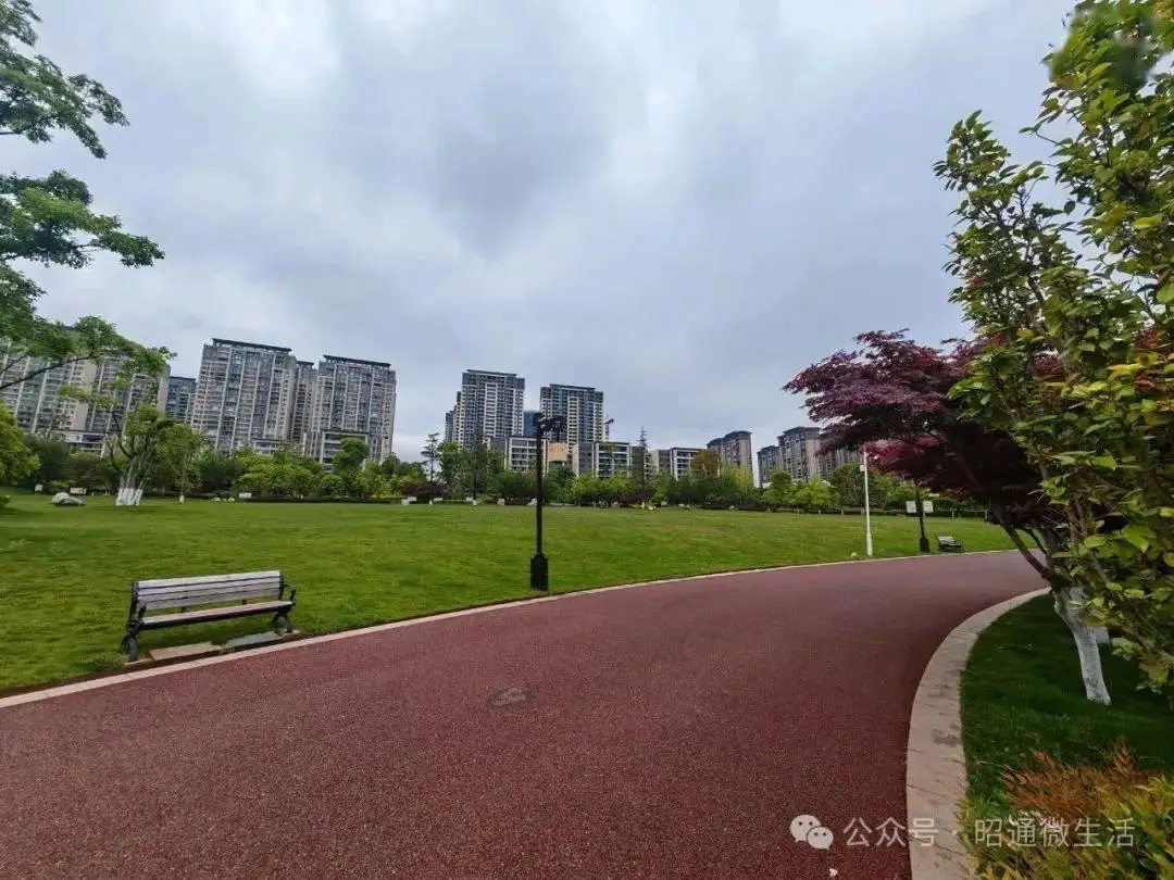 昭通小巷子怎么叫快餐你懂的呢