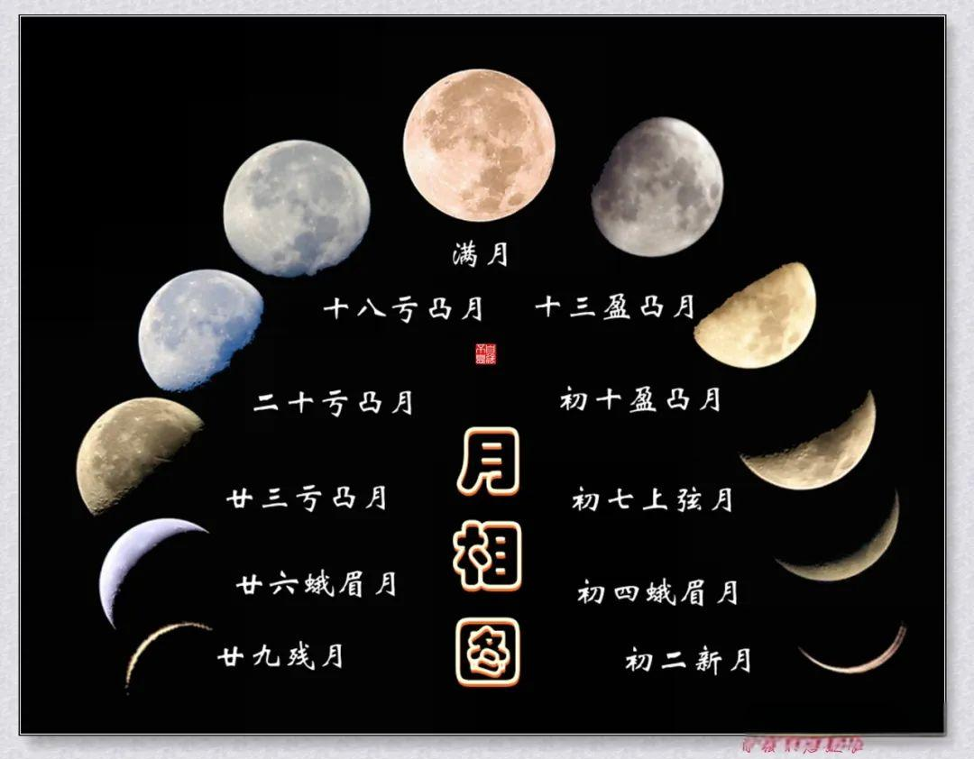 凝视月球是一项永恒的人类行为吗?...