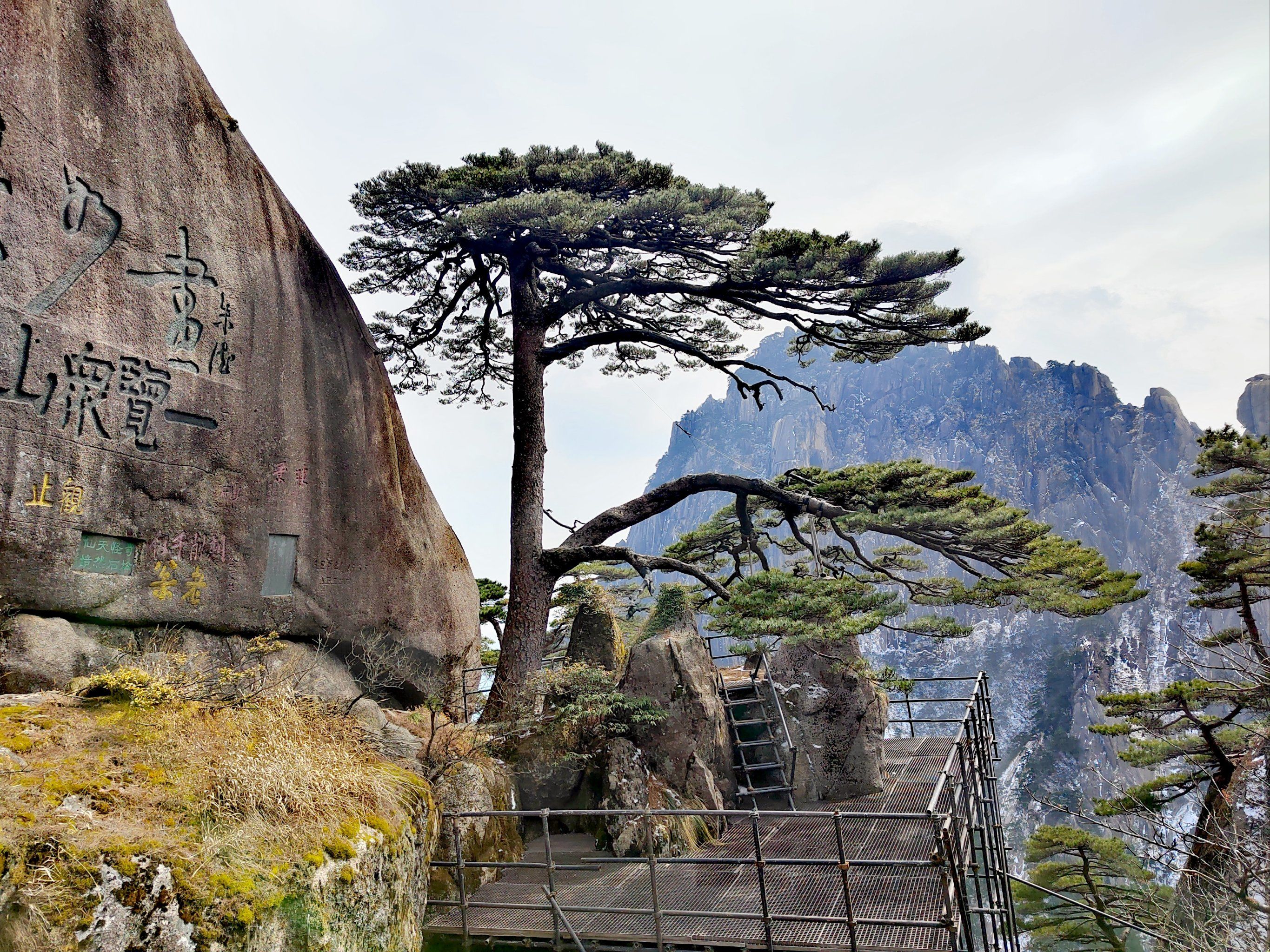 据消息透露，最新报道：黄山品茶到底哪里与众不同？资深茶客揭秘顶级体验的关键步骤