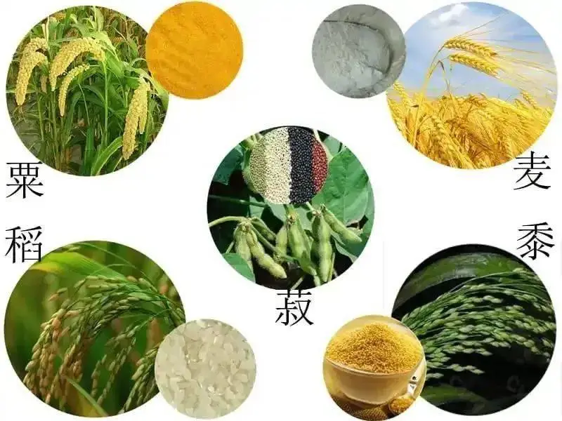 站点风采图片