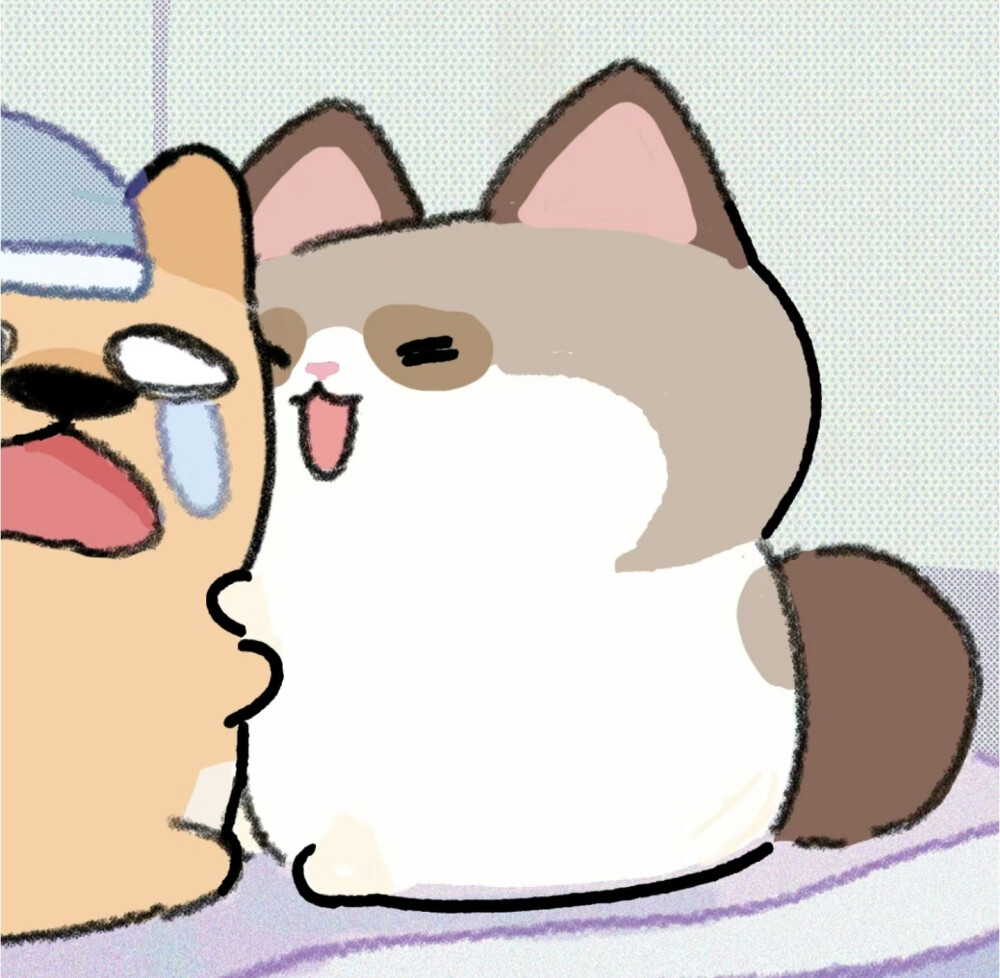 怎么避开小圈80%新手陷阱？用这3步合规操作省掉5万违约金