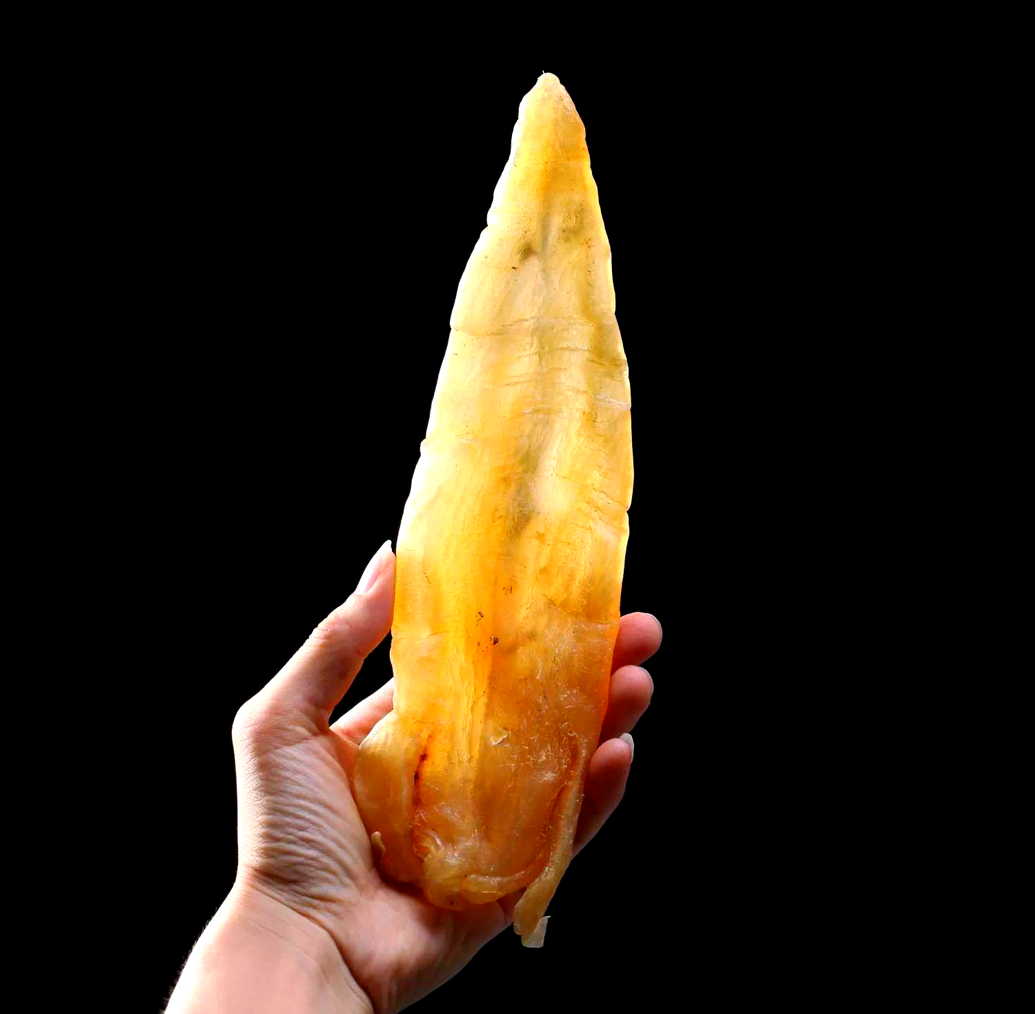 香港人挚爱的滋补花胶是一种什么美食?...