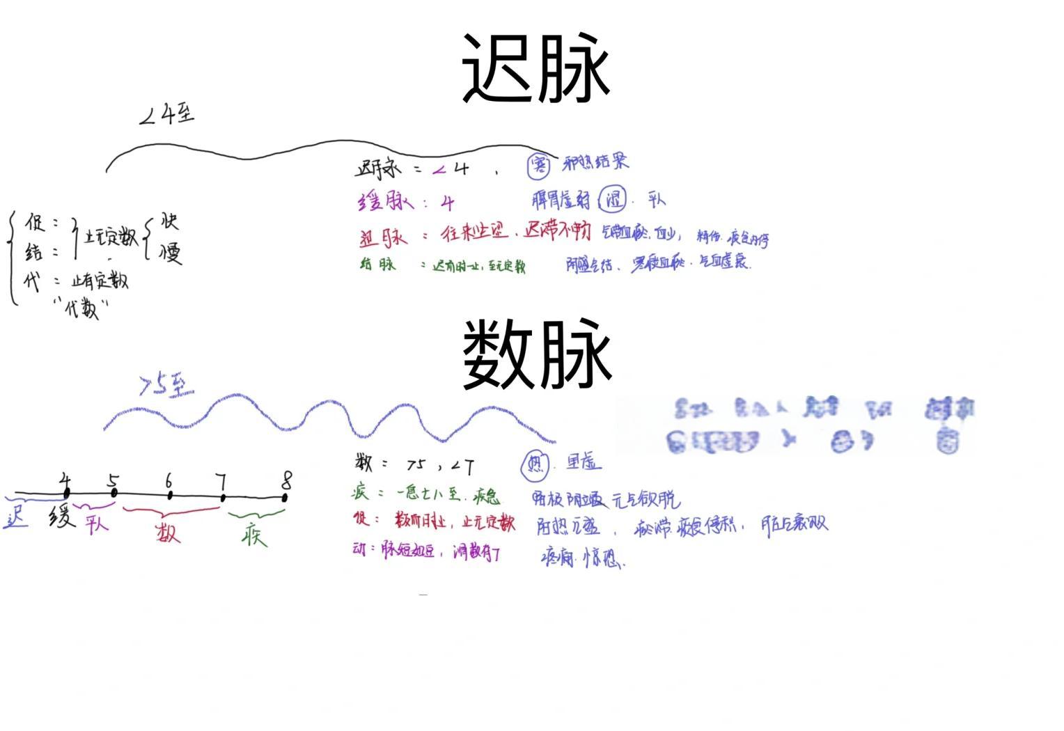 东亚为什么是息脉相通和损益攸关的生命共同体?...