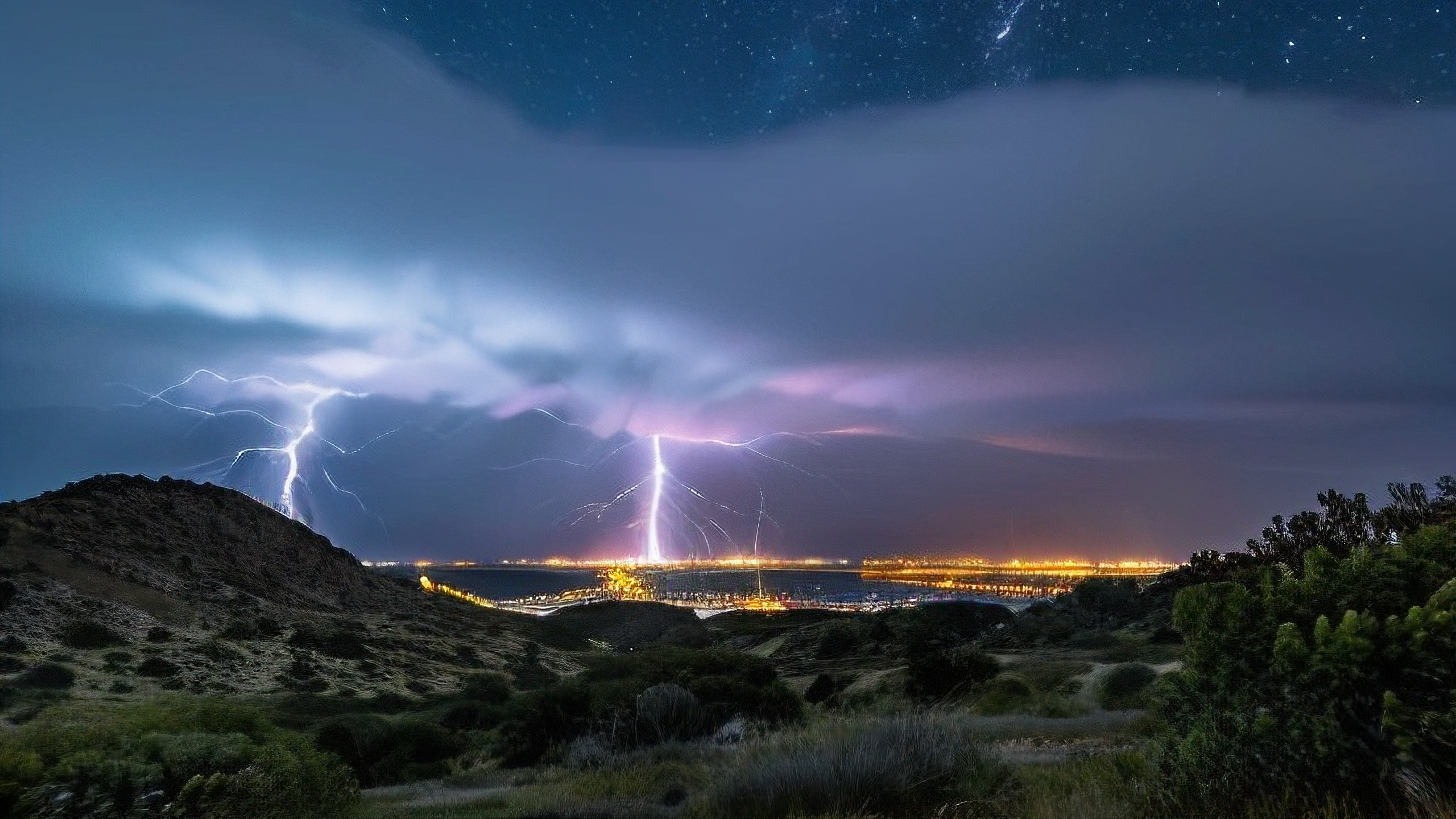 近期发生的一起事件让人们震惊,天津楼鳯信论坛