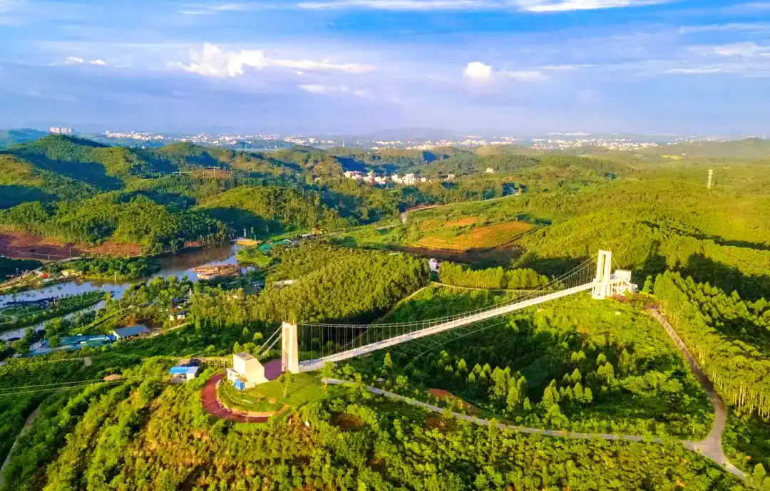 廉江固定p友怎么找