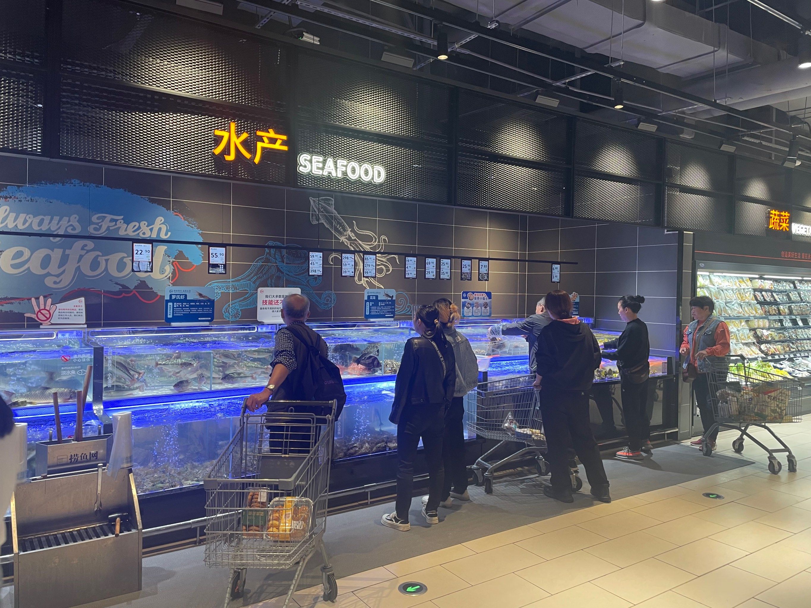 深圳街巷生存图谱：从晨曦鱼市到午夜食堂的烟火巡礼