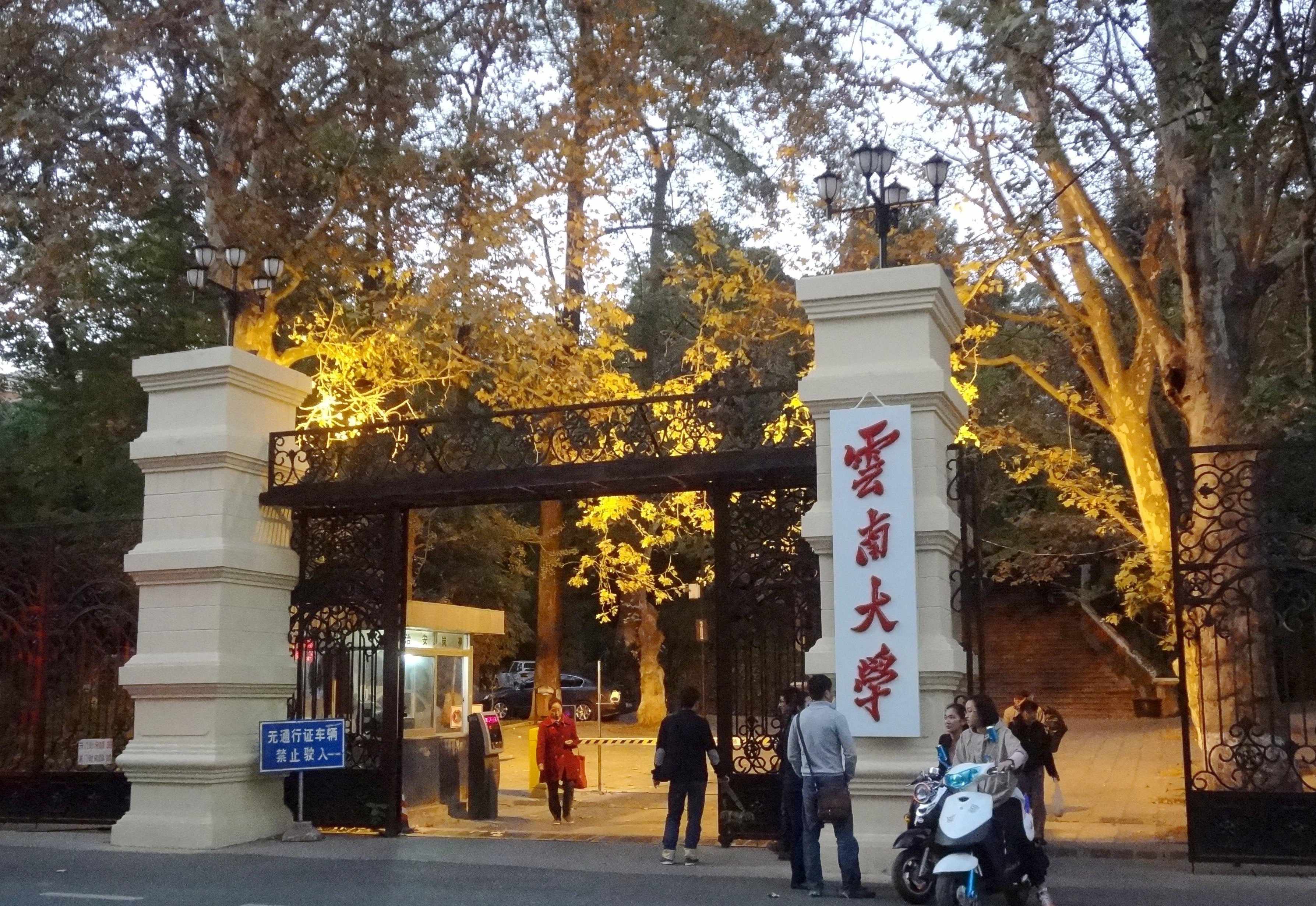 最新报道显示,昆明哪条街可以找到服务?实地探索与体验分享