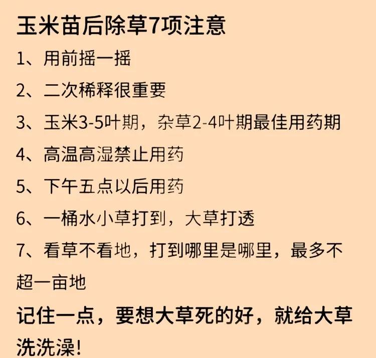 玉米田草大了打啥除草剂配比多 玉米和豆子打除草剂的方法