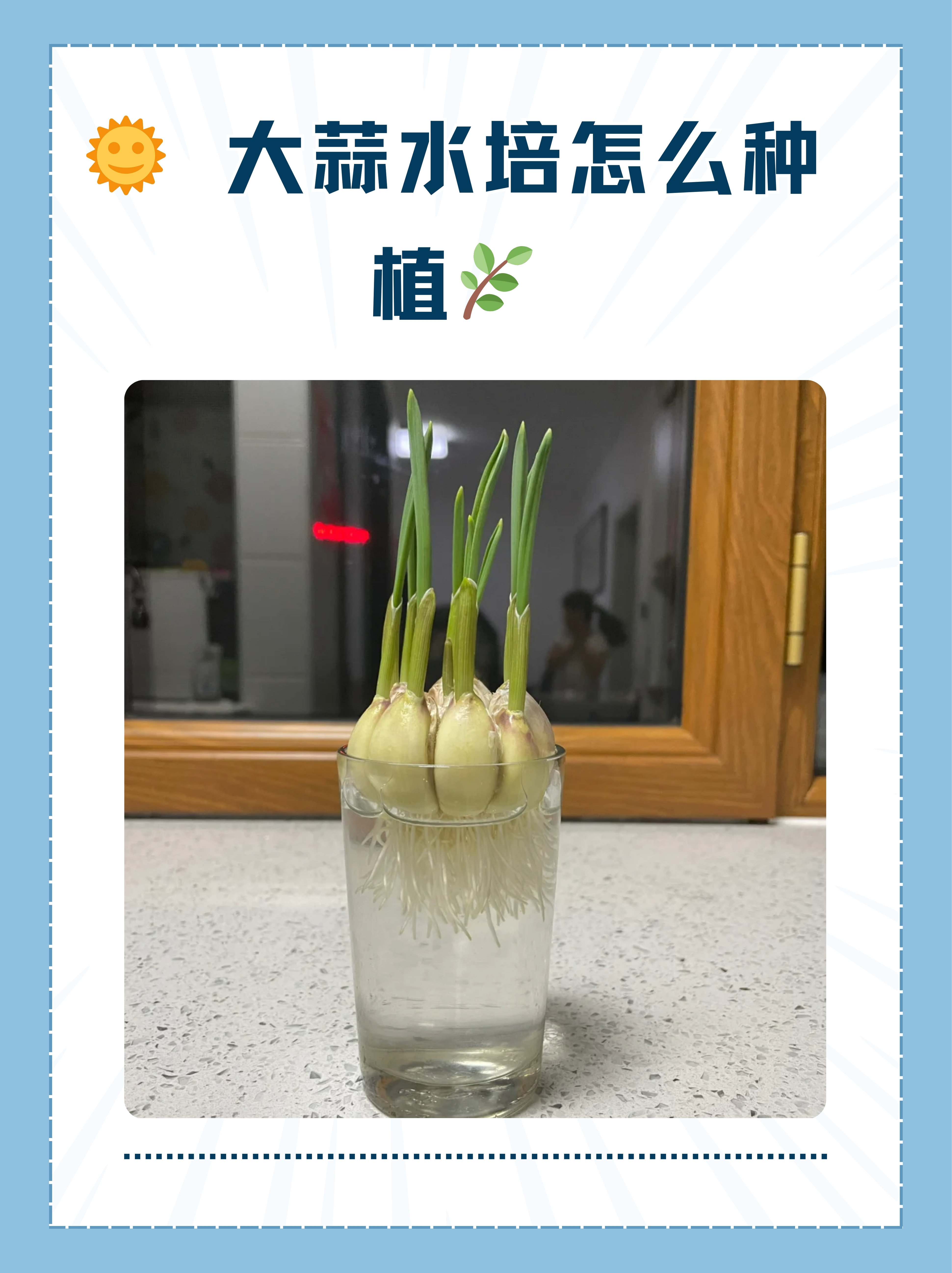 大蒜怎么保存不发芽 大蒜怎样储存不发芽能放一年
