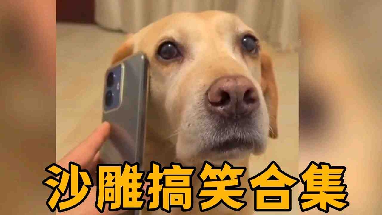 小姐店的隐秘江湖：传统与现代交织的双面故事