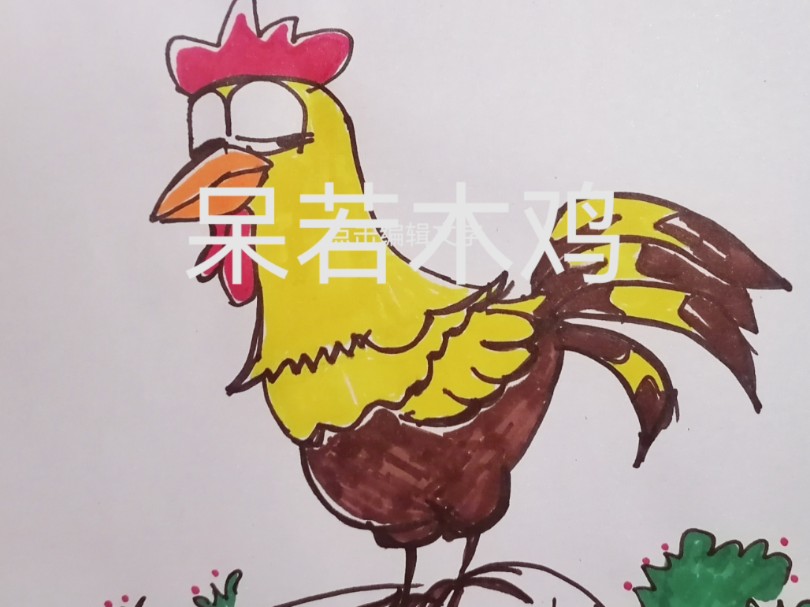 呆若木鸡代表什么生肖 最笨动物排行揭秘