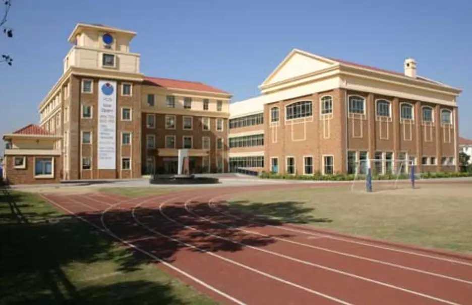 胶州野鸡巷在哪里,探寻青岛胶州野鸡巷的历史与现状