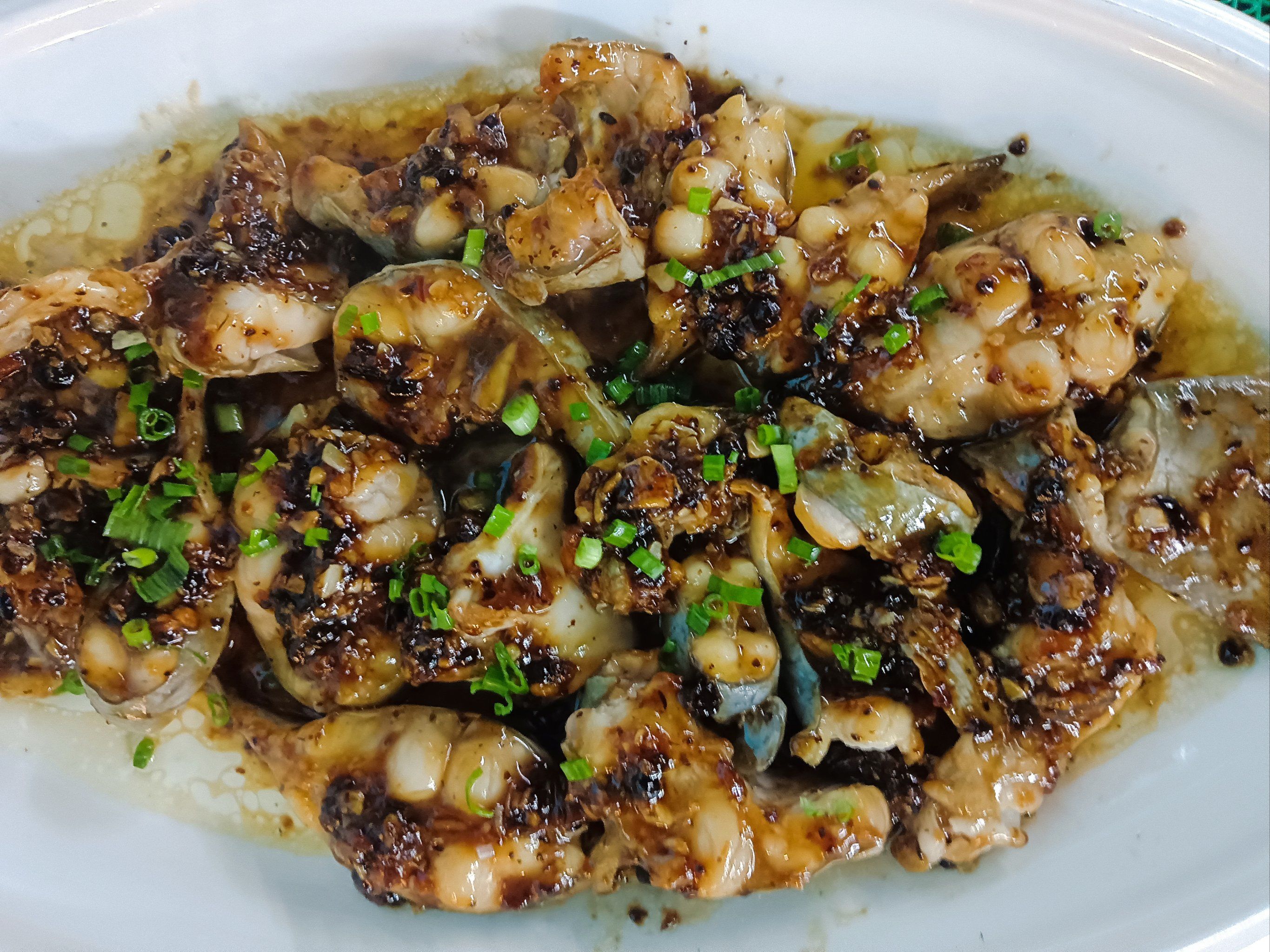 塘鲺鱼