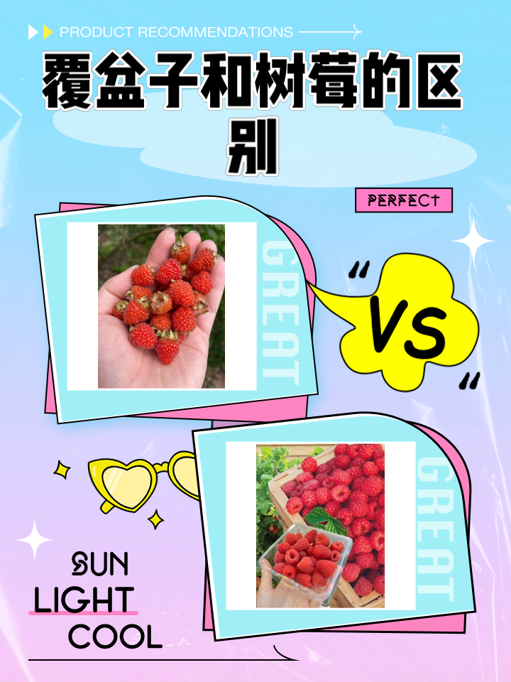 覆盆子和树莓的区别 覆盆子和蛇莓怎么区分