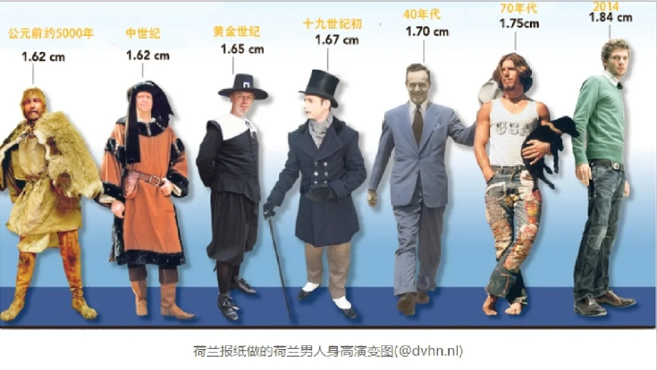 荷兰人如何巧用昆虫 “以毒攻毒”解决虫害问题?...