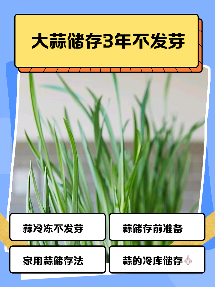 大蒜怎么保存不发芽