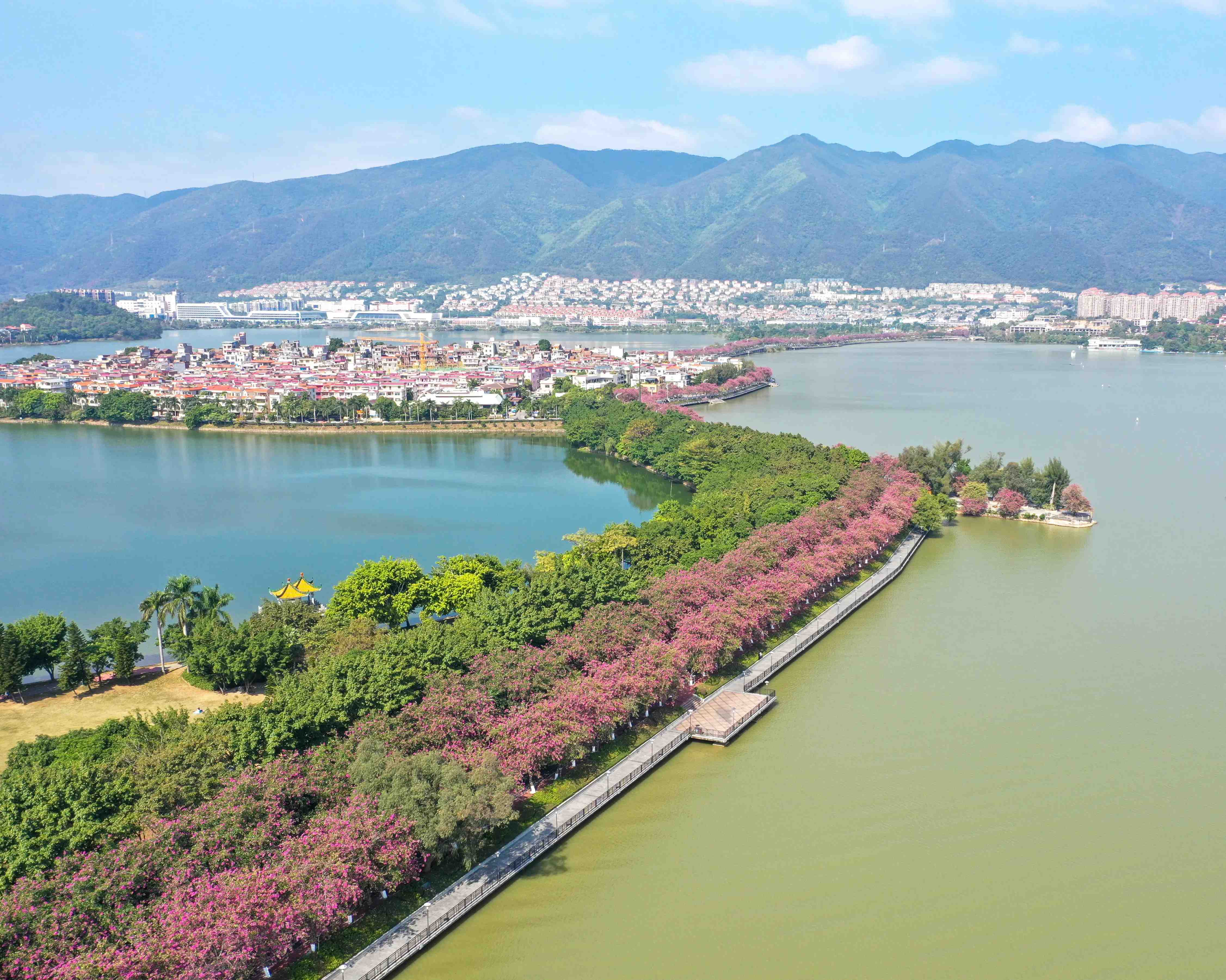 肇庆去酒店要服务的暗号