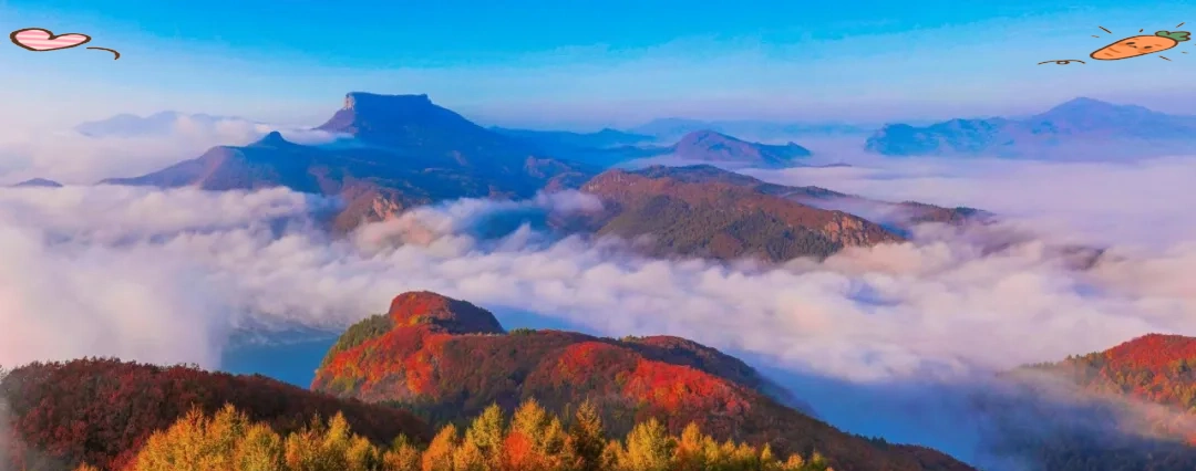 本溪怎么在大学学校旁边找卖的女生