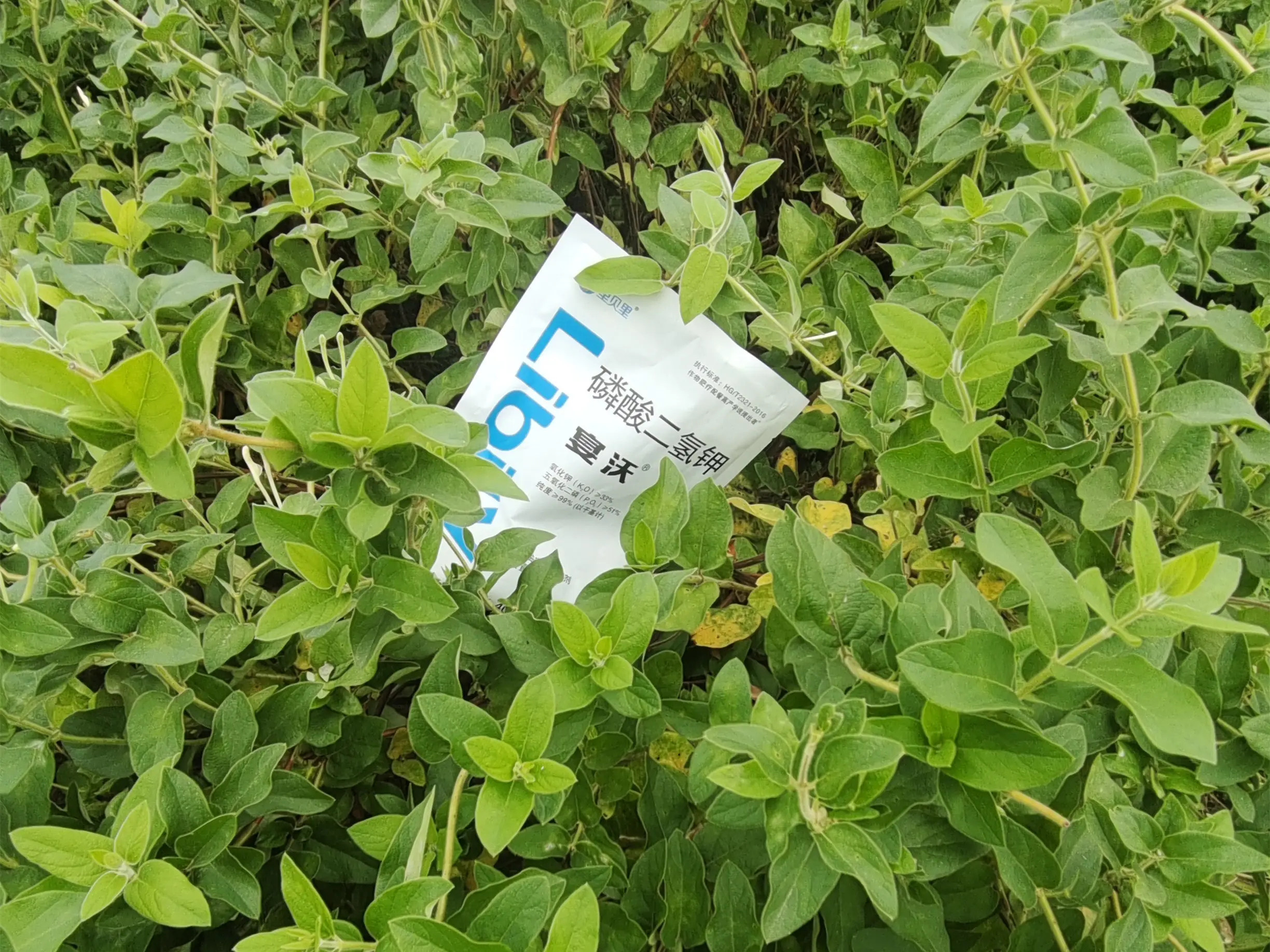 磷酸二氢钾