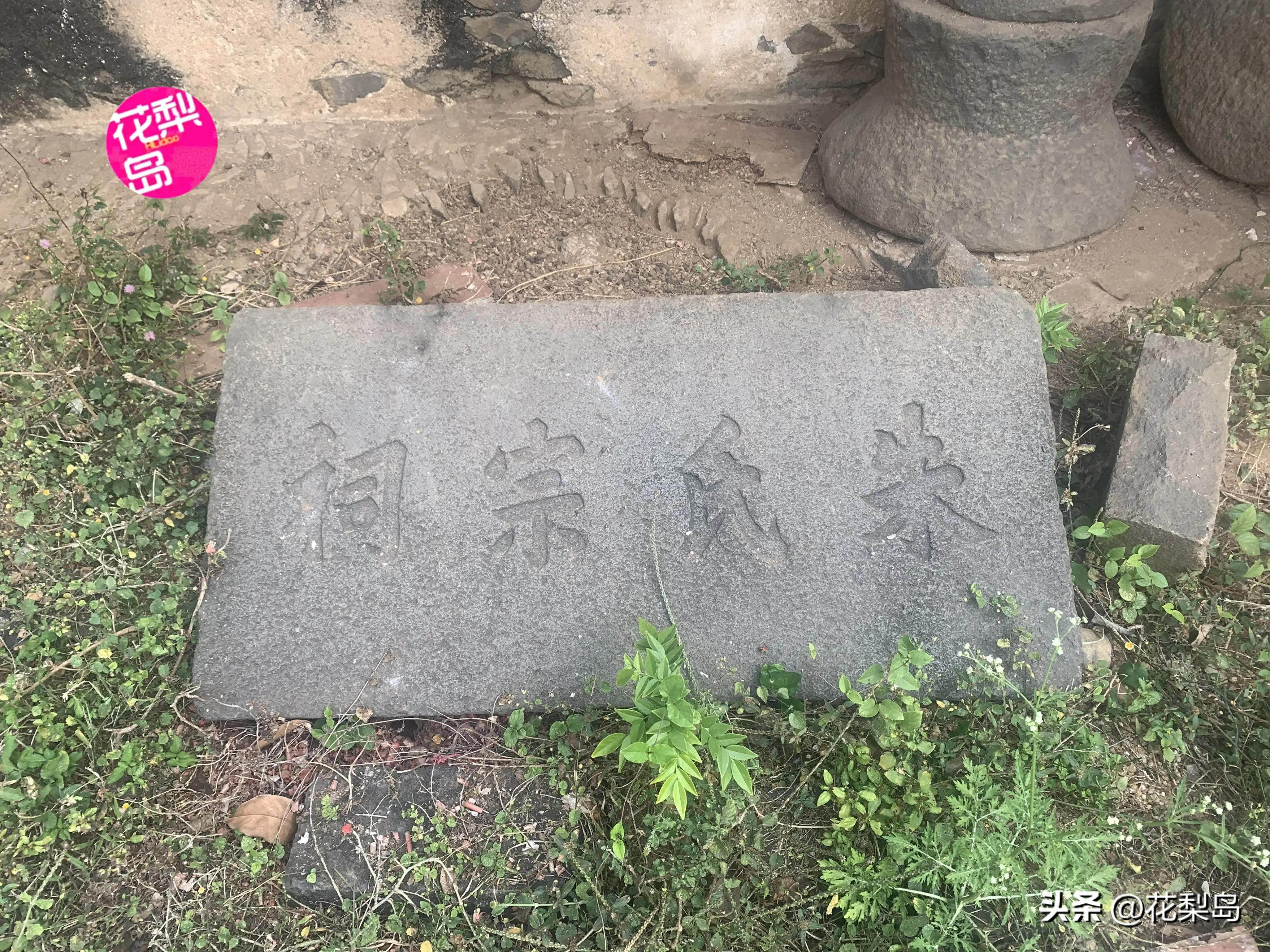 推荐几部类似大明望族的小说 系统的超级宗门烂尾了吗