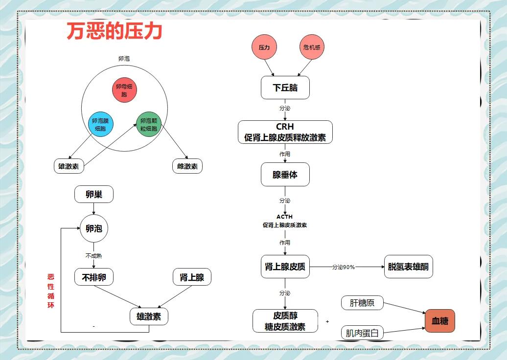 如何科学的应对“心理压力”？...