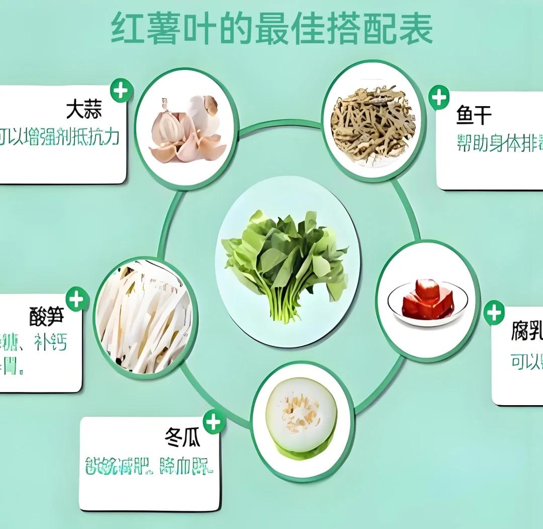 吃地瓜叶好处和坏处 地瓜叶有什么功效作用