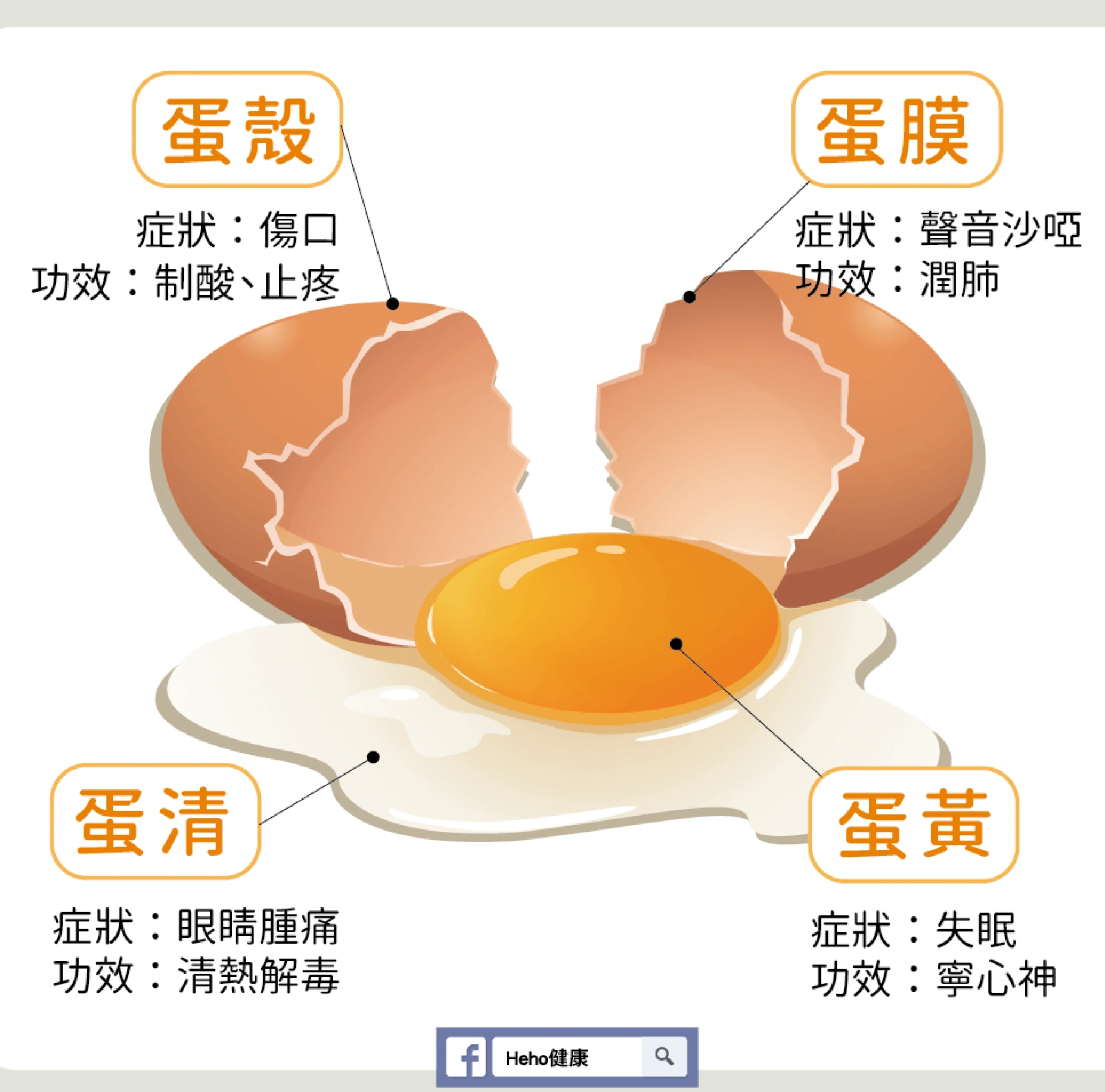 鸡蛋壳的主要成分