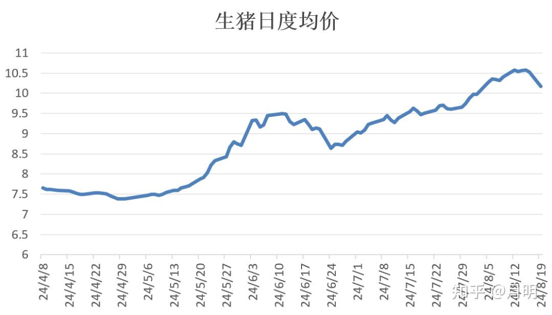 2025年7月猪价走势 山东猪价预测