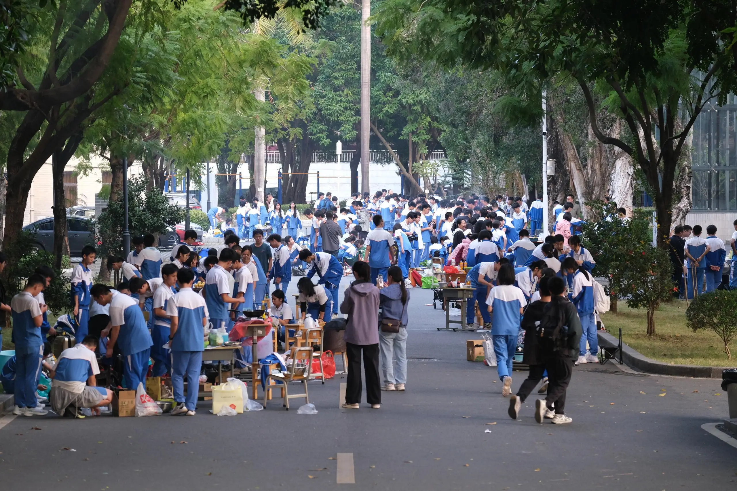 全国大学茶楼信息网：如何用一杯茶连接Z世代校园生活的秘密