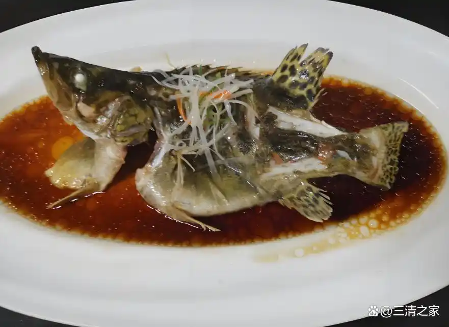 桂鱼