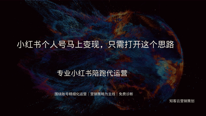 YP网站：揭秘垂直领域流量帝国的运营法则与变现密码