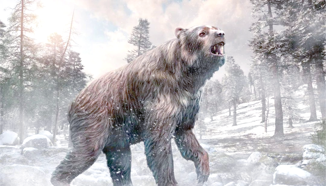 什么是白灵熊，它们真的存在吗？...