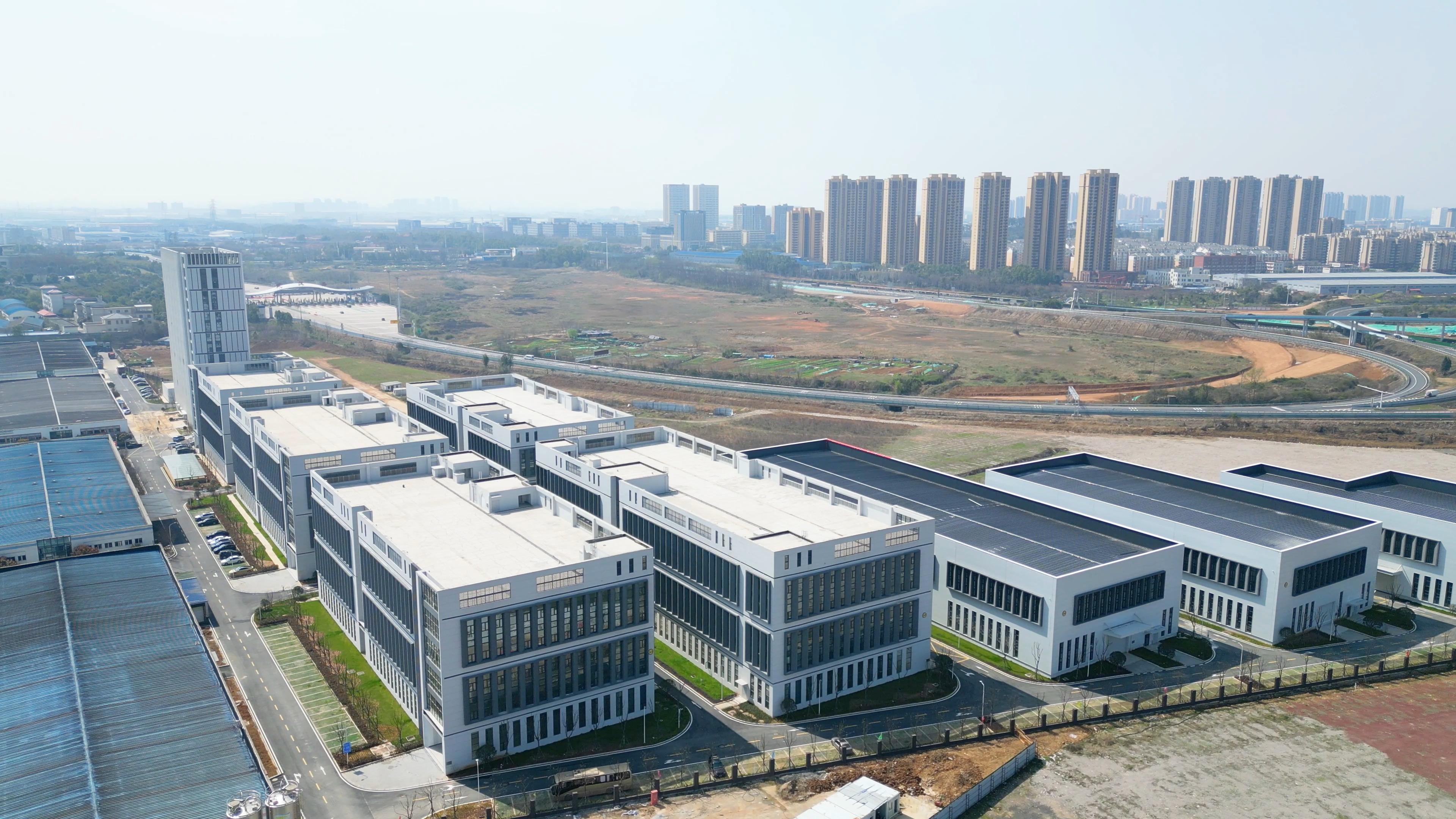 滁州城中村暗流：性产业集中区如何每年节省200万元治理成本