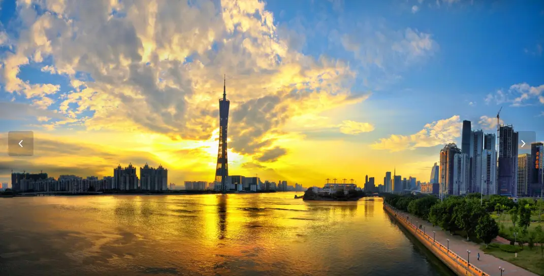 广佛高端茶文化入门指南：品味与门道