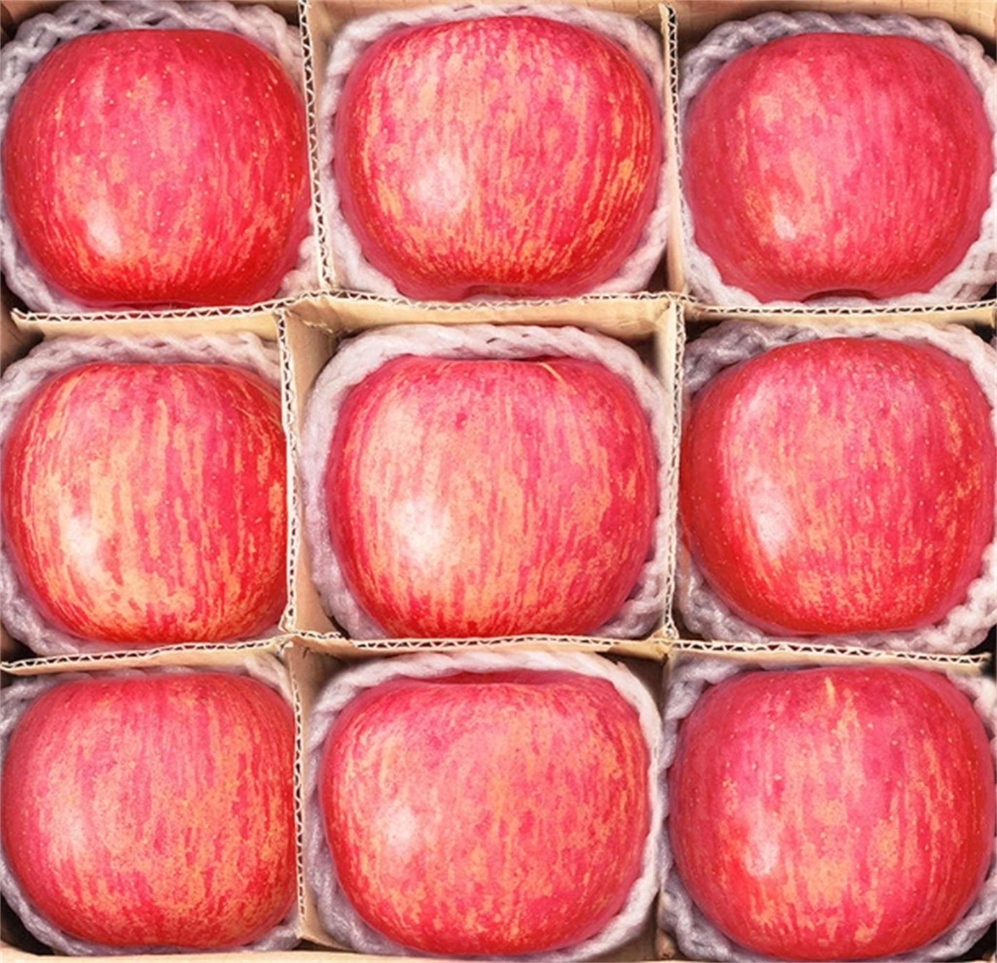 苹果各机型配置差异 哪款iPhone最适合你