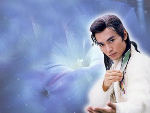 寻欢阁相关热点解析：寻欢阁网站及背后故事揭秘