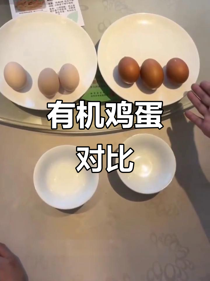 有机鸡蛋