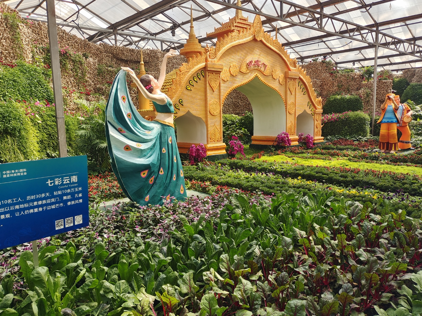 蔬菜博览会