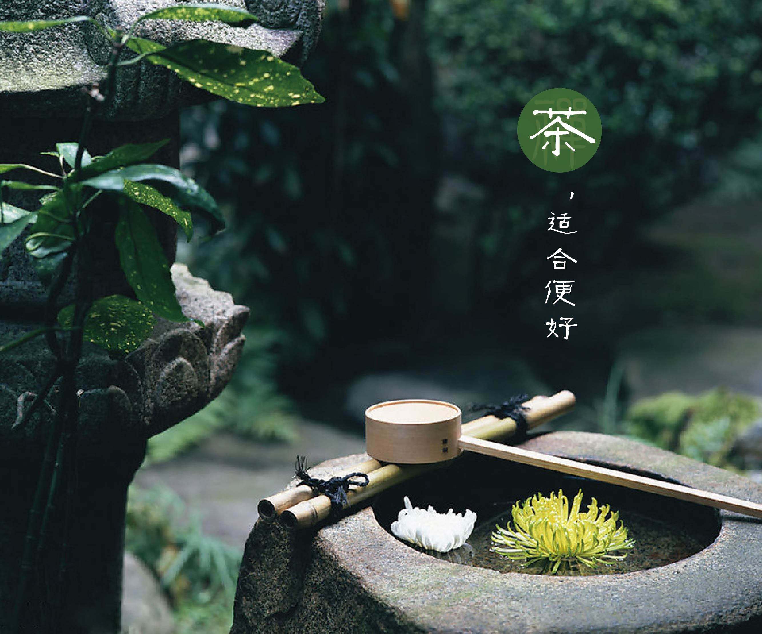 全国兼职喝茶论坛的兴起与价值,探寻茶文化与灵活就业的交汇点