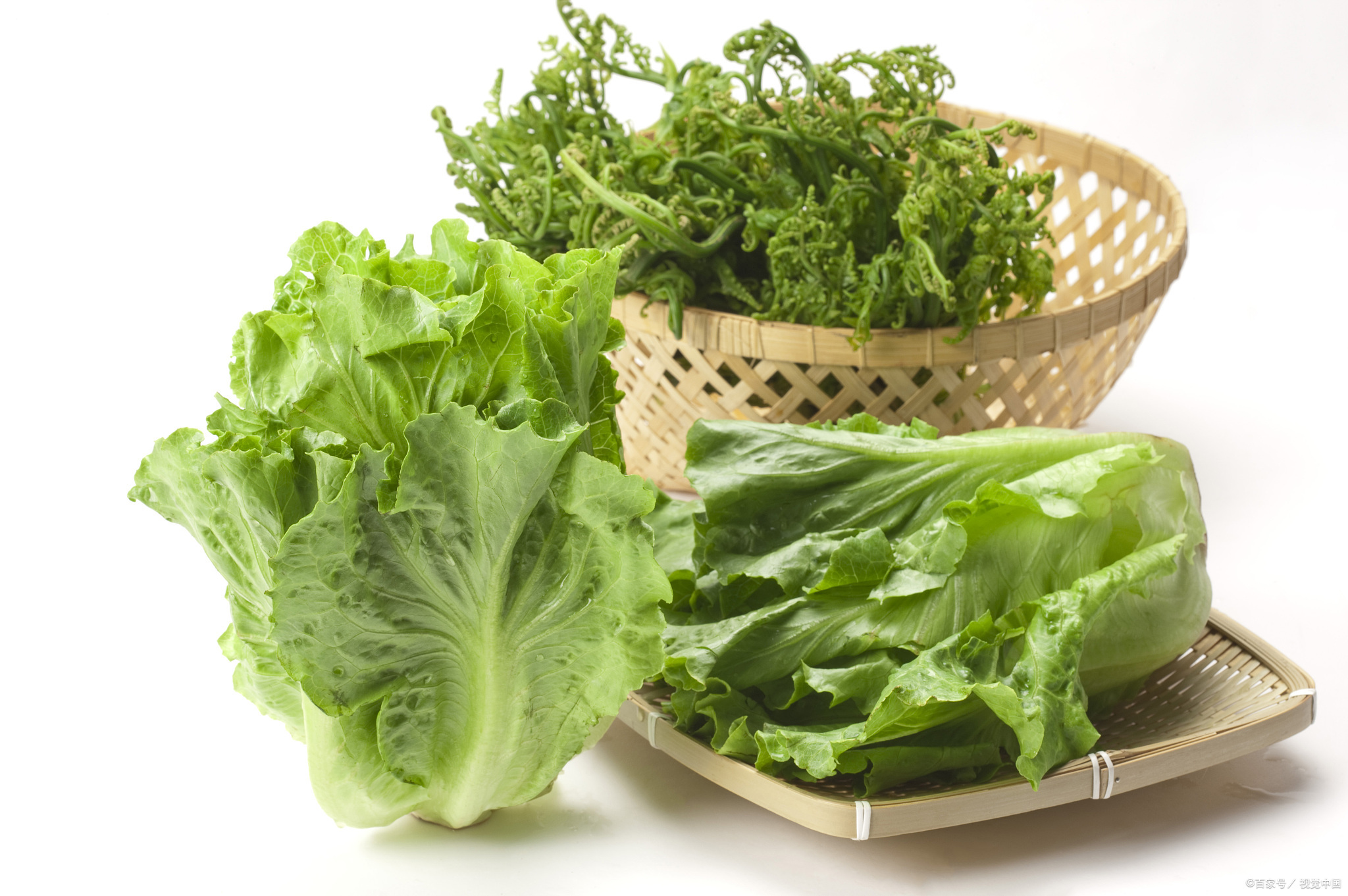 绿色蔬菜有哪些 绿色蔬菜都包括哪些种类