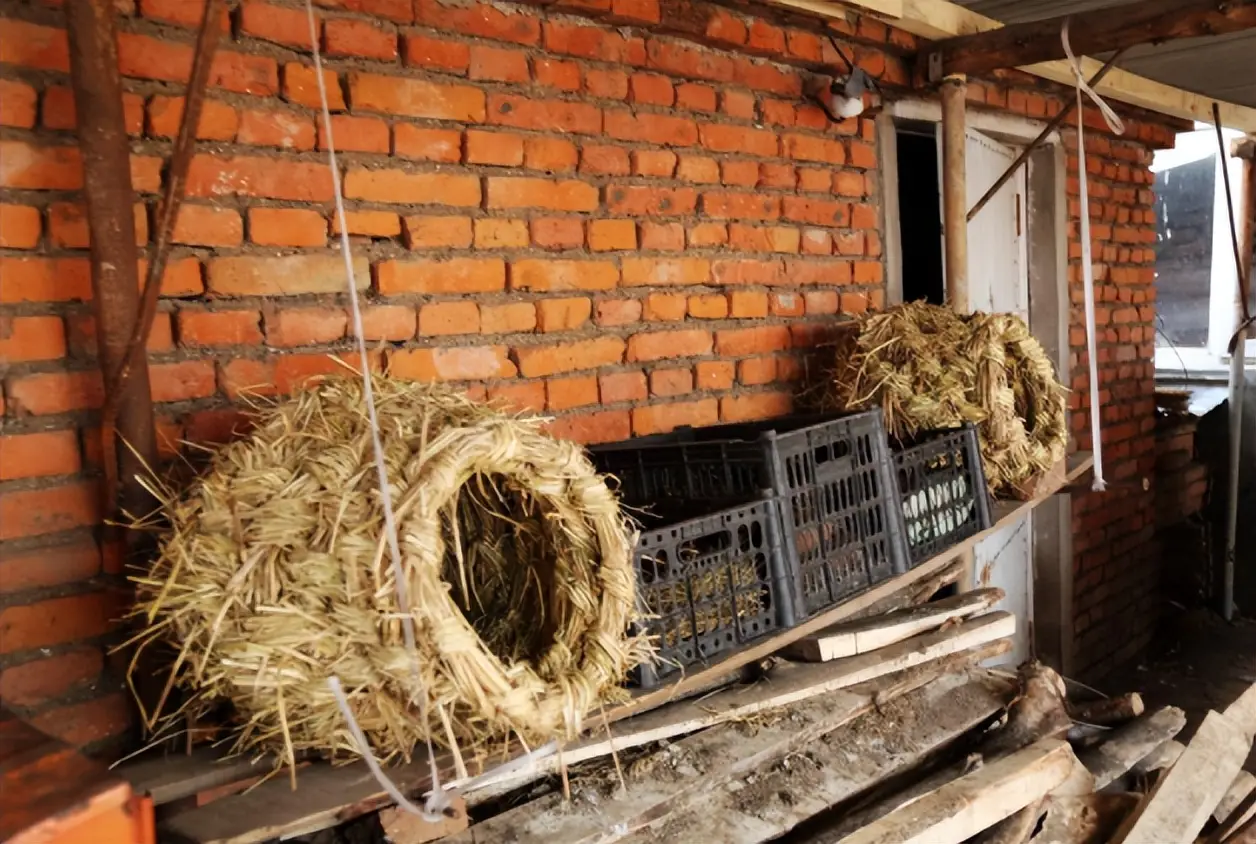 昆山鸡窝最多在哪些地方？三大主要聚集区实测节省60%踩坑费