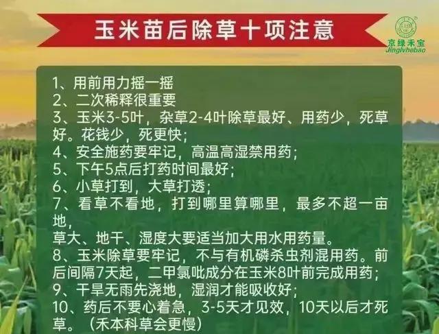 玉米除草剂